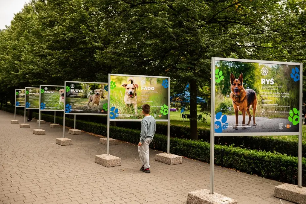 Wystawa w Parku Miejskim promująca adopcję zwierząt