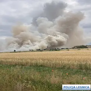 Upały i susze zwiększają ryzyko pożarów
