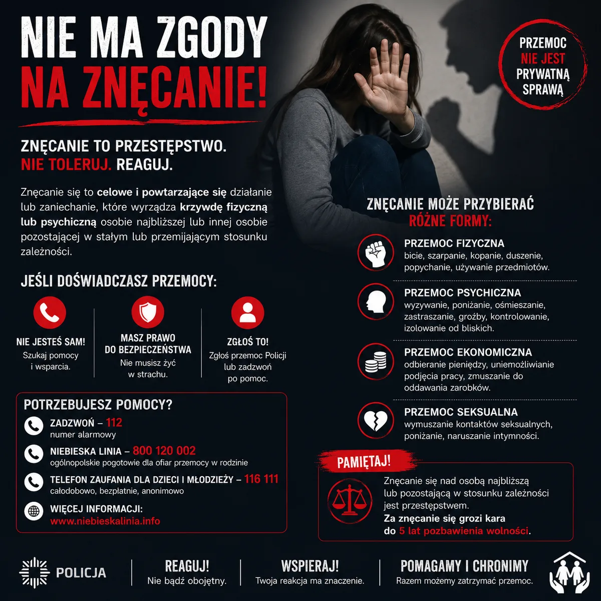 Kolejny sprawca przemocy domowej aresztowany