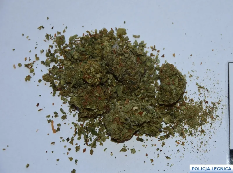 Zatrzymano blisko kilogram narkotyków w Legnicy