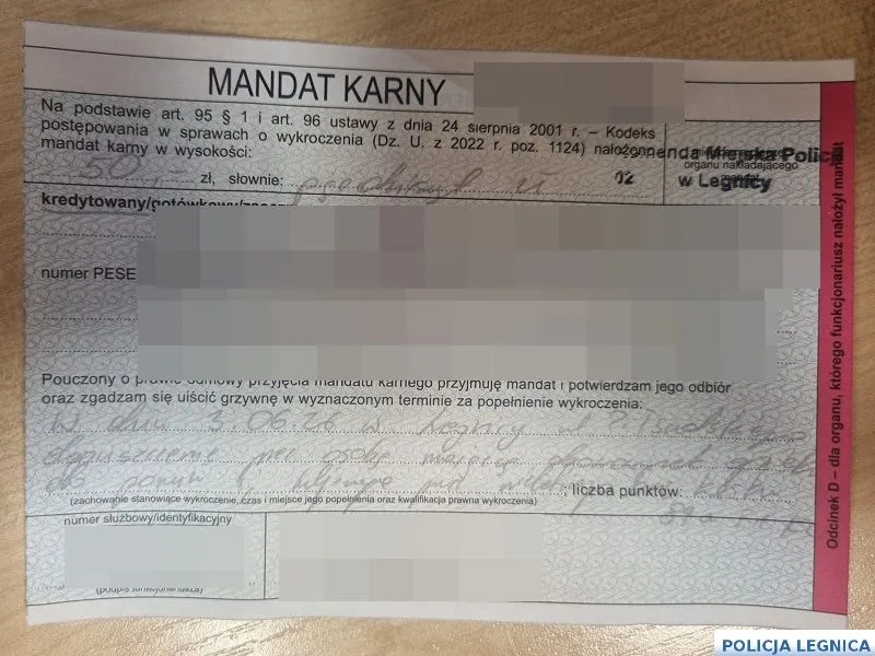 Kolizja z hulajnogą elektryczną w Legnicy w dniu wejścia w życie nowych przepisów