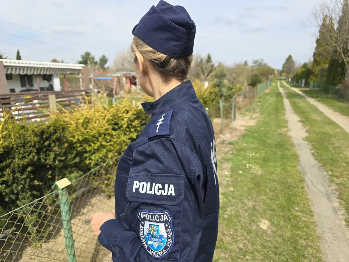 Zachowanie bezpieczeństwa na działkach ogrodowych