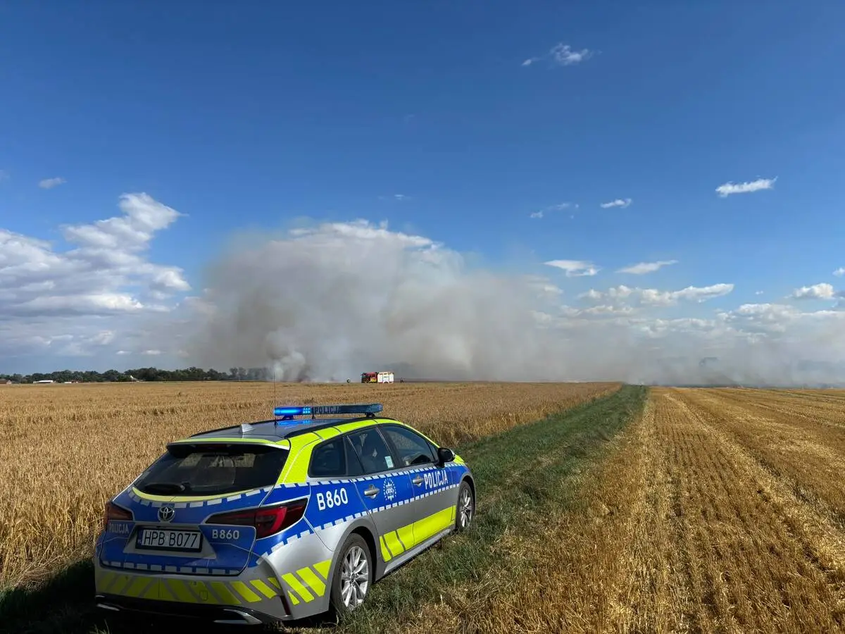 Susza i silny wiatr zwiększają ryzyko wystąpienia pożarów