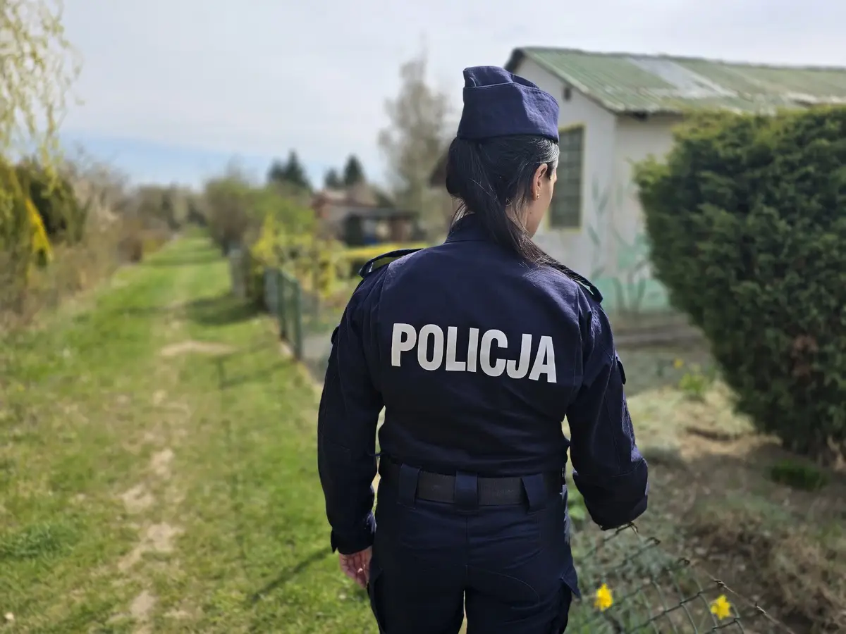 Ostrzeżenie dla działkowców – jak chronić altany przed kradzieżami