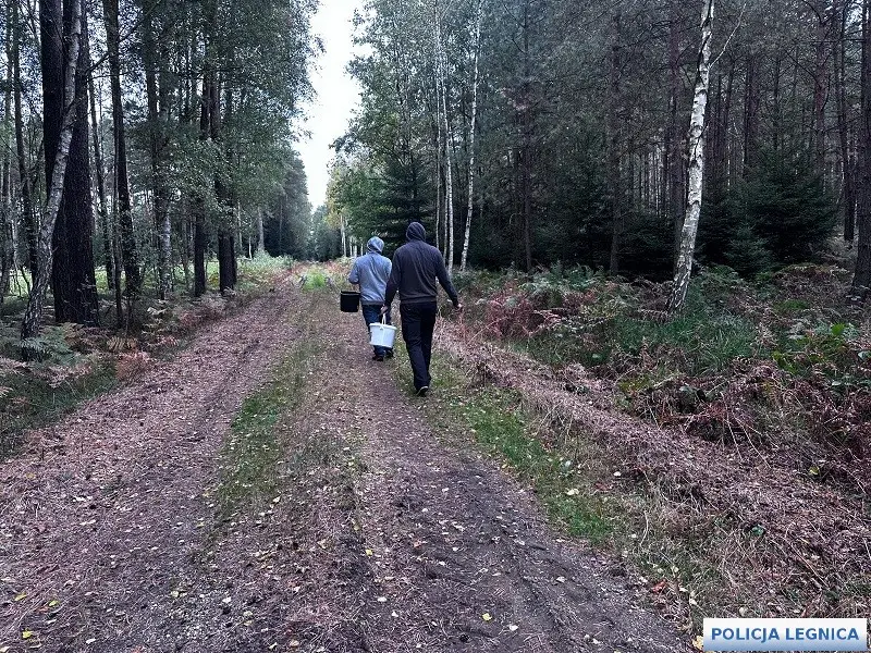 Porady legnickiej policji na temat bezpieczeństwa w lesie