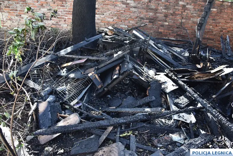 Policja rozwiązała sprawę serii podpaleń w Legnicy, zatrzymując podejrzanego